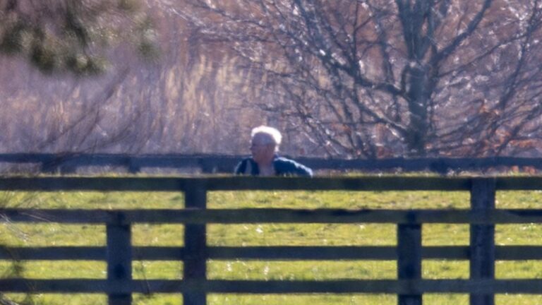 Η πρώτη δημόσια εμφάνιση του Άντριου - Credit line: Bav Media