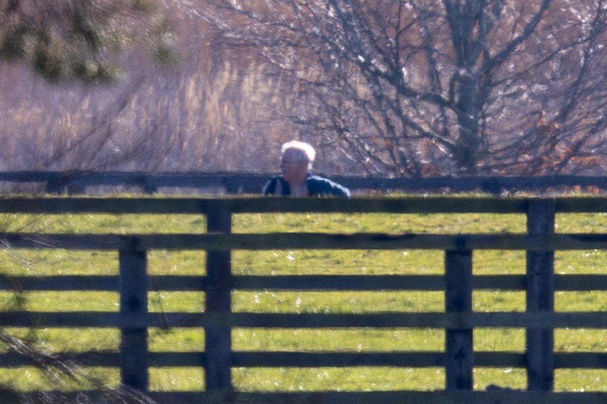 Η πρώτη δημόσια εμφάνιση του Άντριου - Credit line: Bav Media