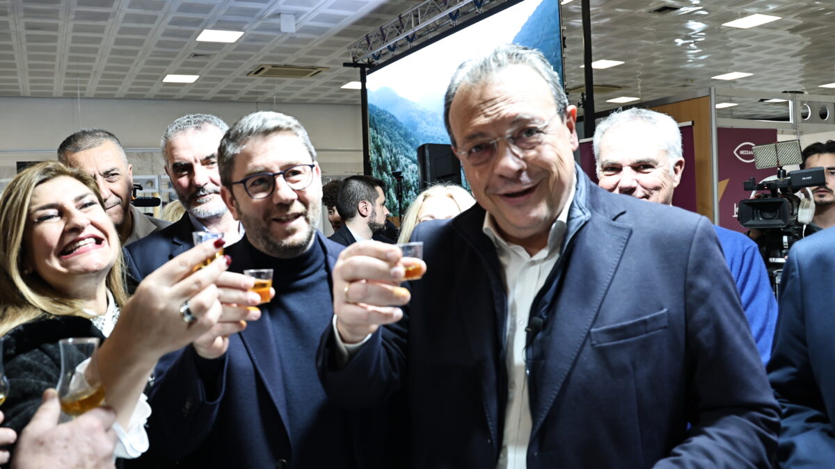 Νίκος Ανδρουλάκης και Σωκράτης Φάμελλος