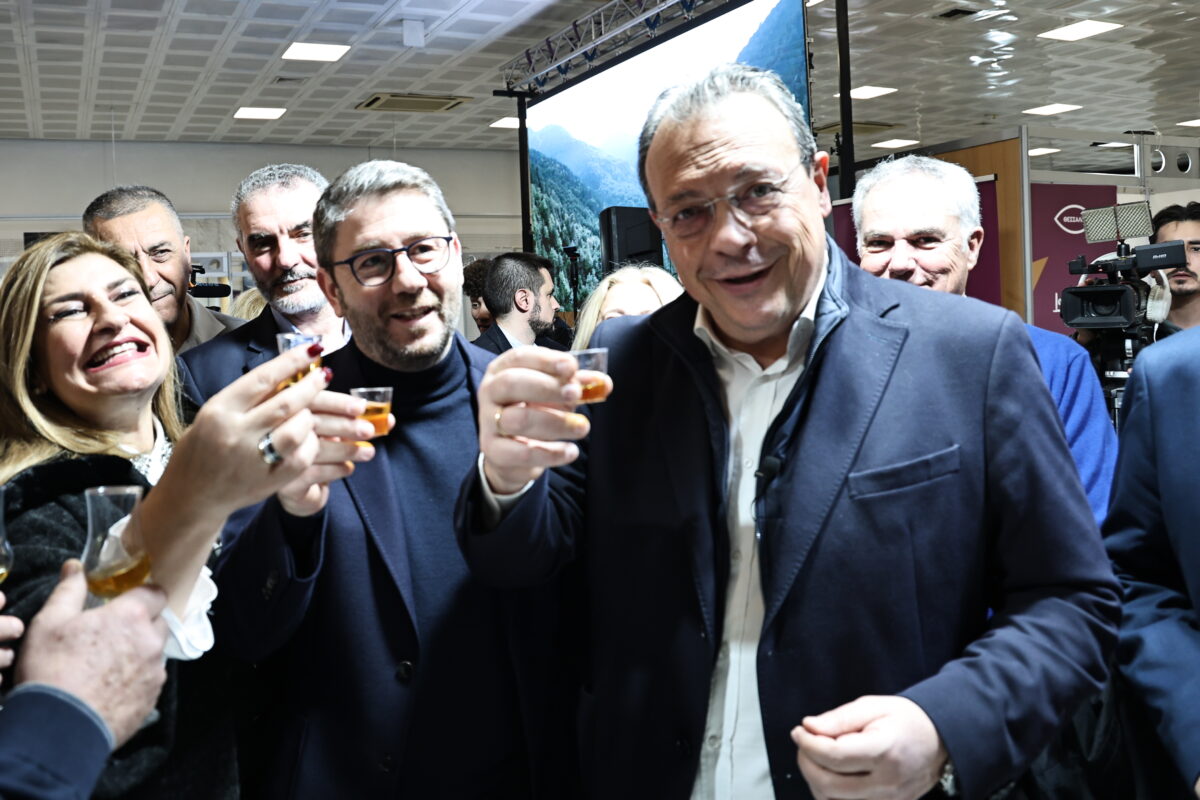 Νίκος Ανδρουλάκης και Σωκράτης Φάμελλος