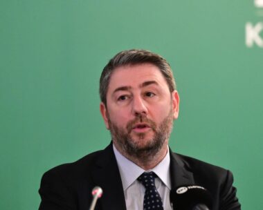 Ο Νίκος Ανδρουλάκης