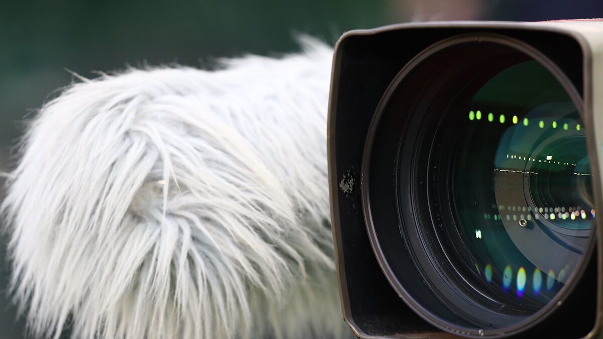 ΦΩΤΟ Eurokinissi