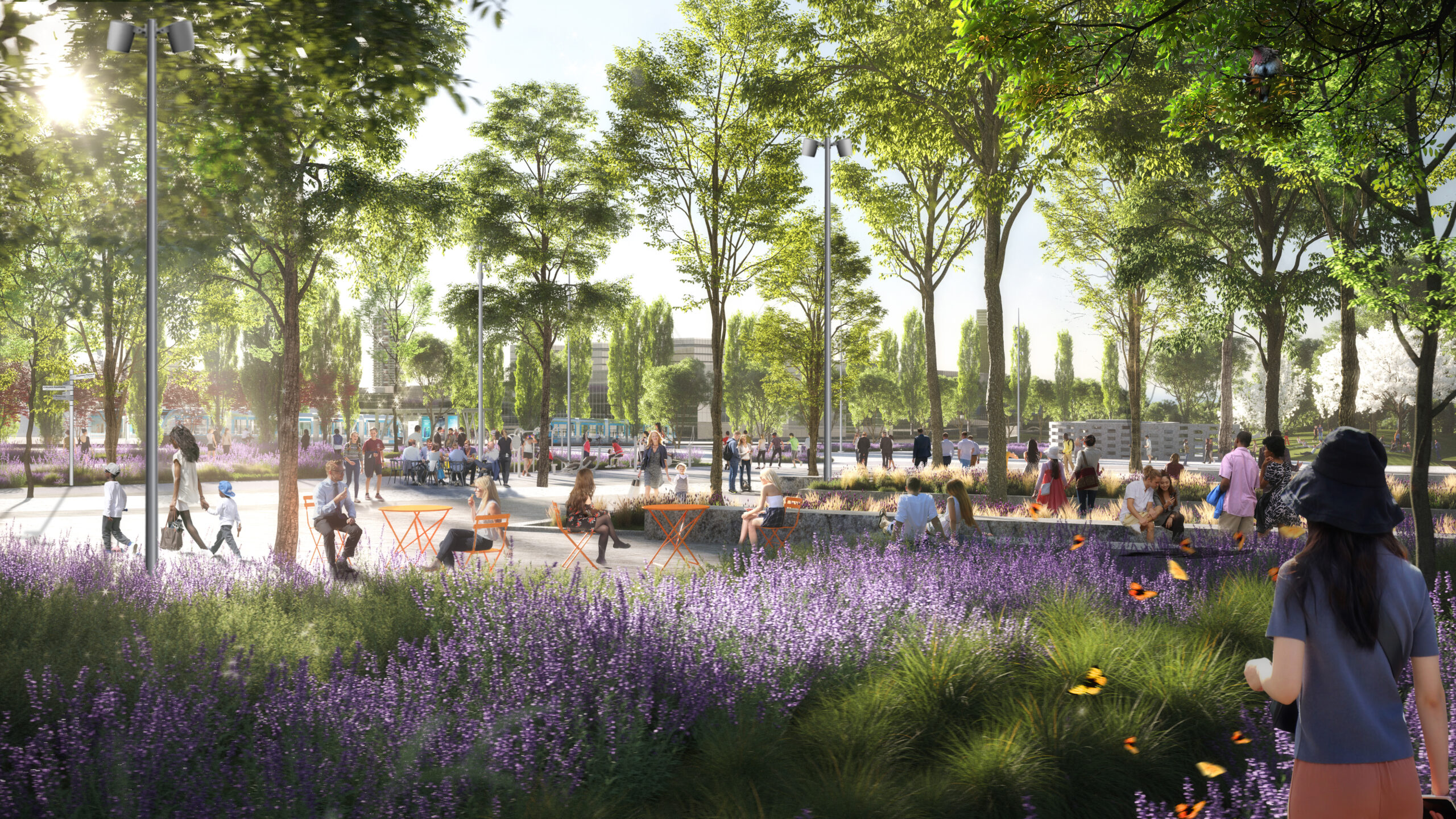 c  withsignage lights