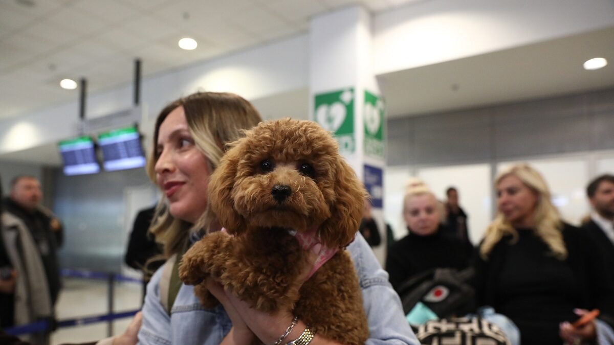 ΔΑΝΑΗ ΔΑΥΛΟΠΟΥΛΟΥ