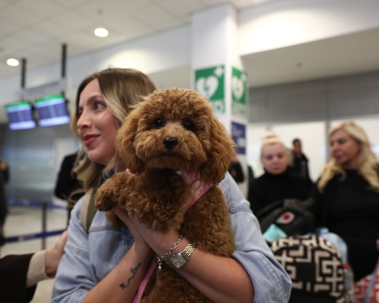 ΔΑΝΑΗ ΔΑΥΛΟΠΟΥΛΟΥ