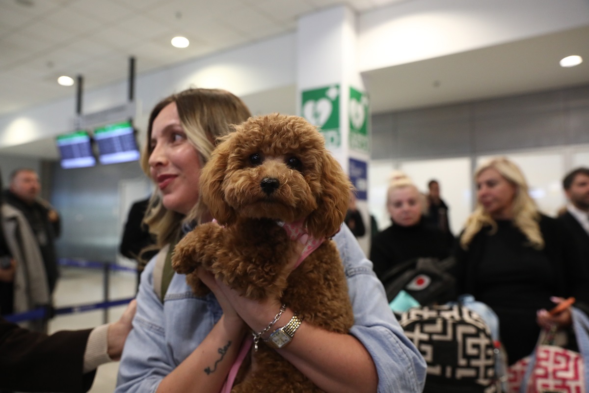 ΔΑΝΑΗ ΔΑΥΛΟΠΟΥΛΟΥ