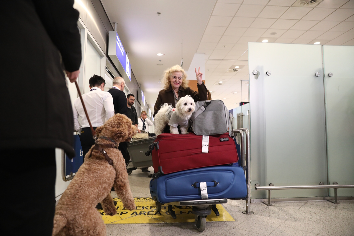 επαναπατρισμός