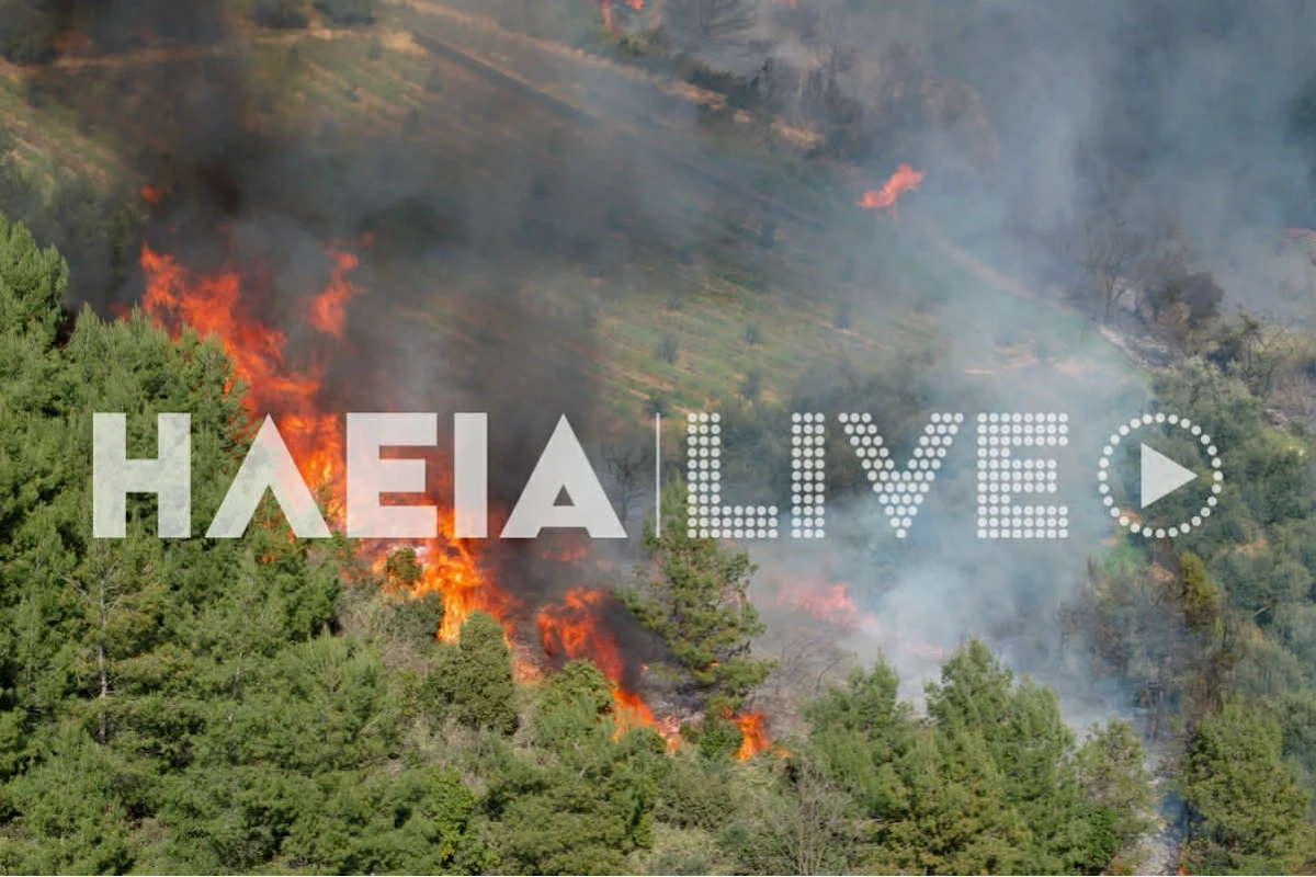 Φωτιά στην Ηλεία