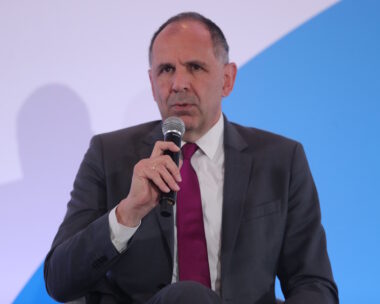 Γιώργος Γεραπετρίτης