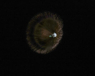 Η στιγμή της αναχαίτισης ιρανικού βαλλιστικού πυραύλου