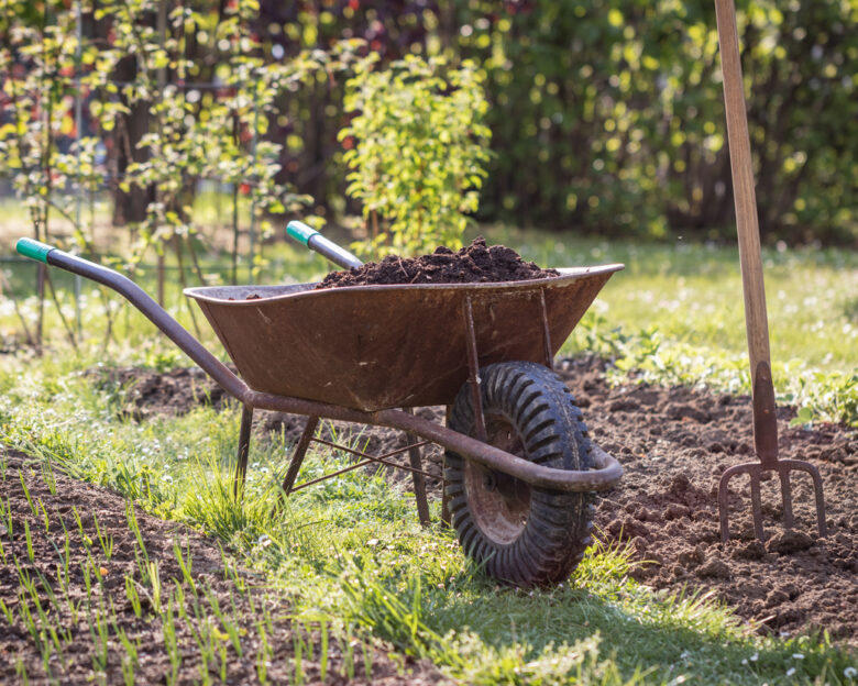 Compost in wheelbarrow and pitchfork in vegetable garden at spring. Gardening in organic farm