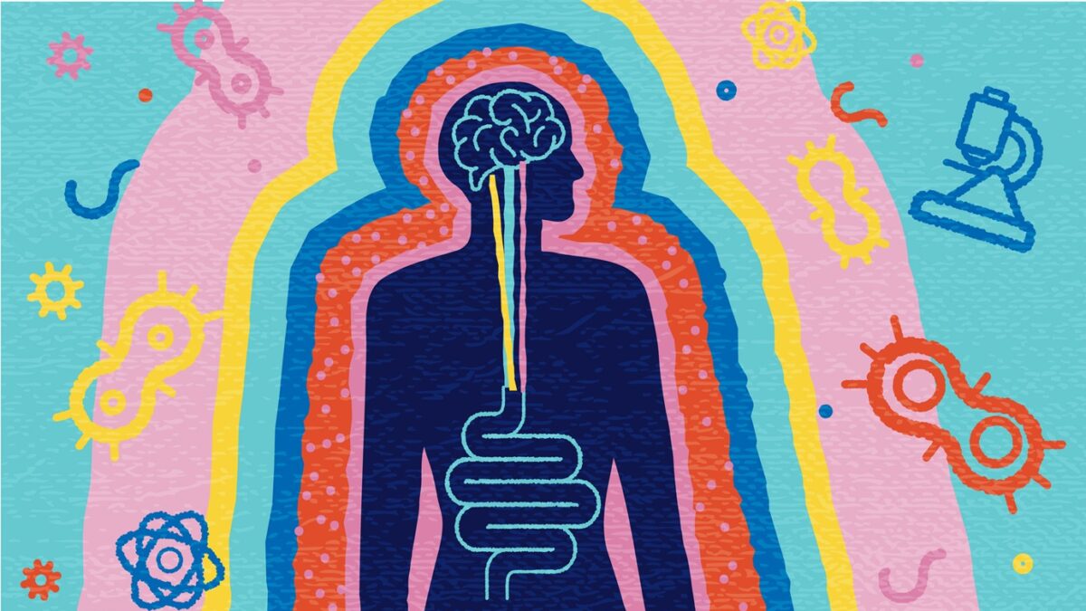 Έντερο και εγκέφαλος