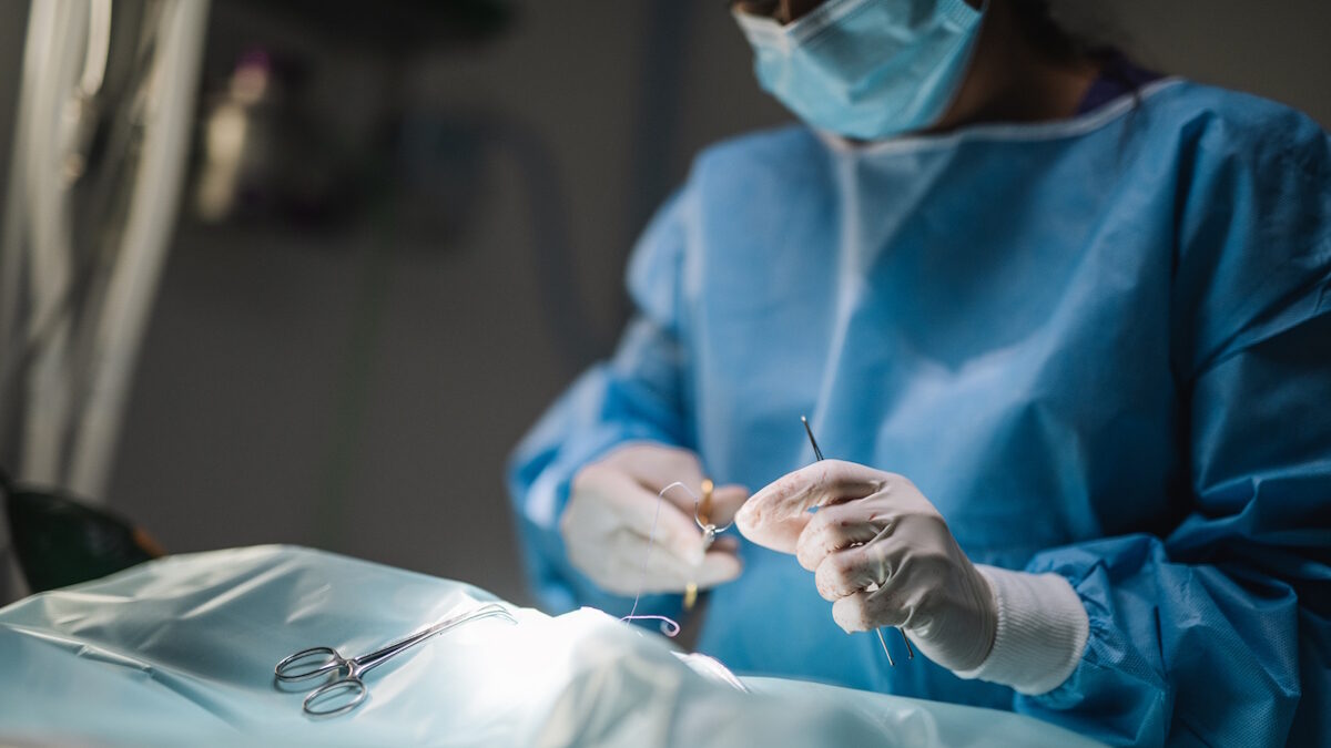 Young female surgeon performing surgery on dog.