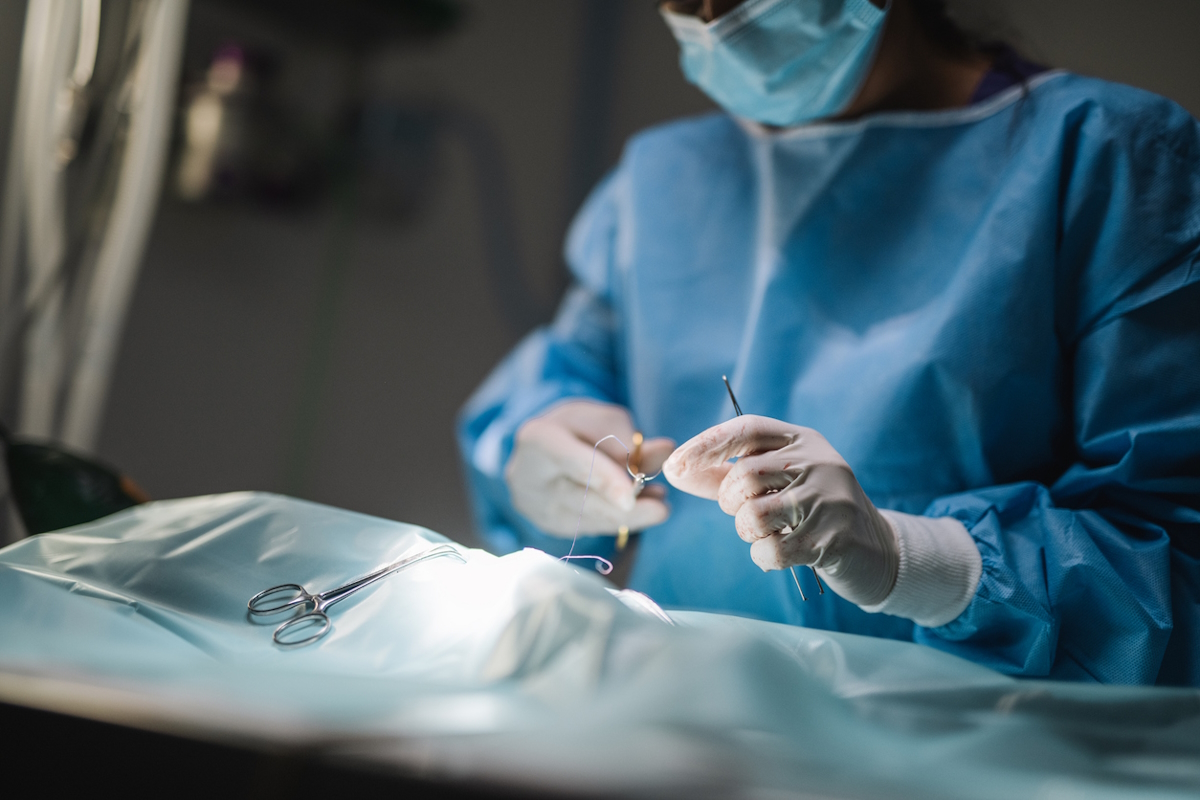 Young female surgeon performing surgery on dog.