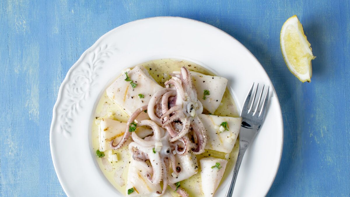 close up of rustic mediterranean grill squid