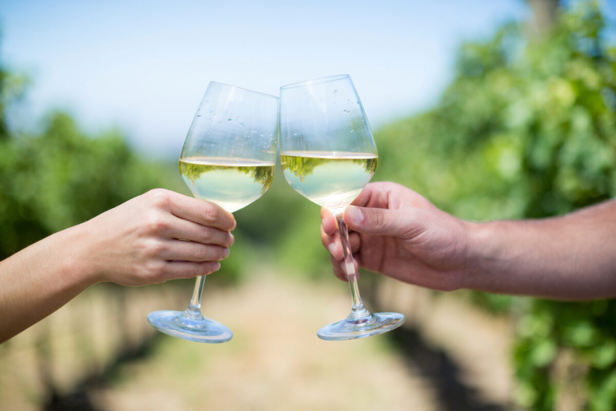 Cropped hands of couple toasting wineglasses at vineyard