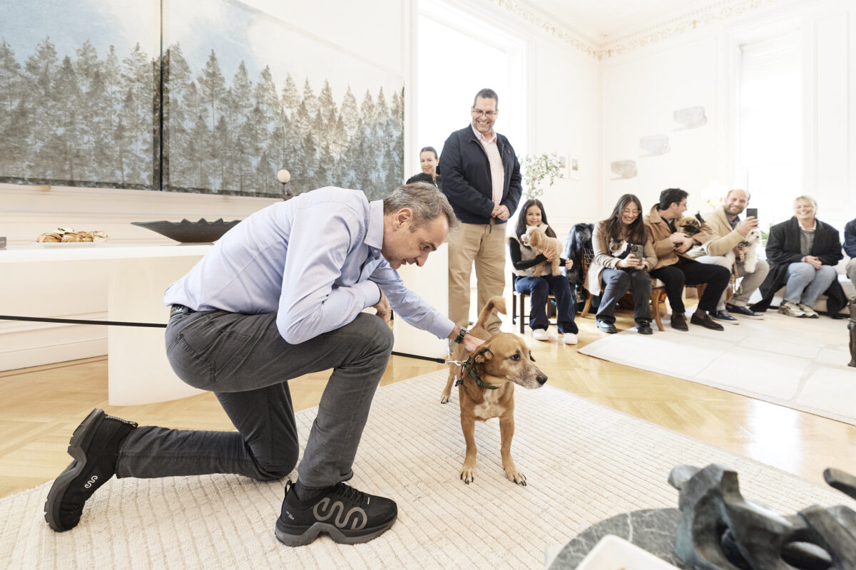 Από ζωάκια πλημμύρισε το Μέγαρο Μαξίμου