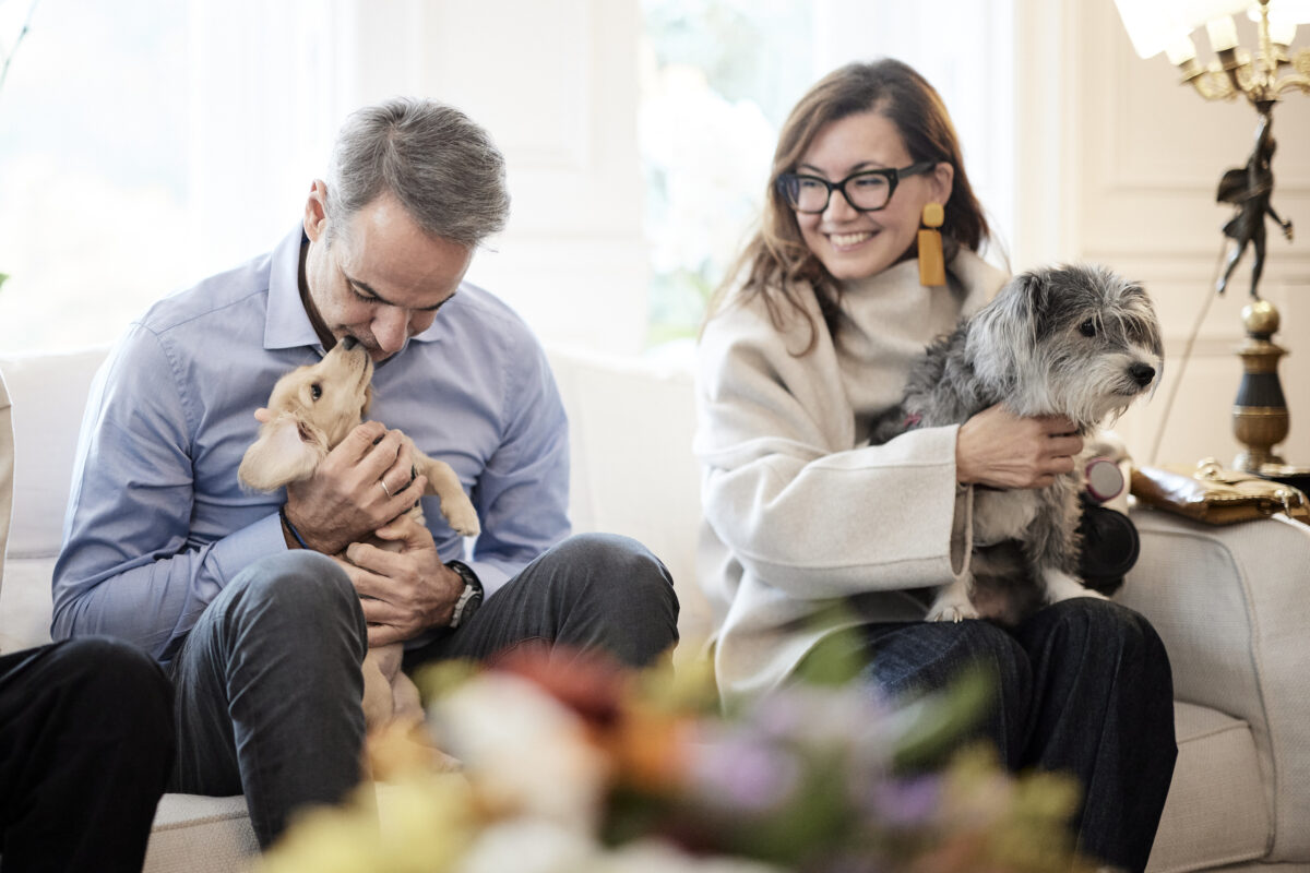 Μια αγκαλιά είναι ότι πιο γλυκό για ένα ζωάκι