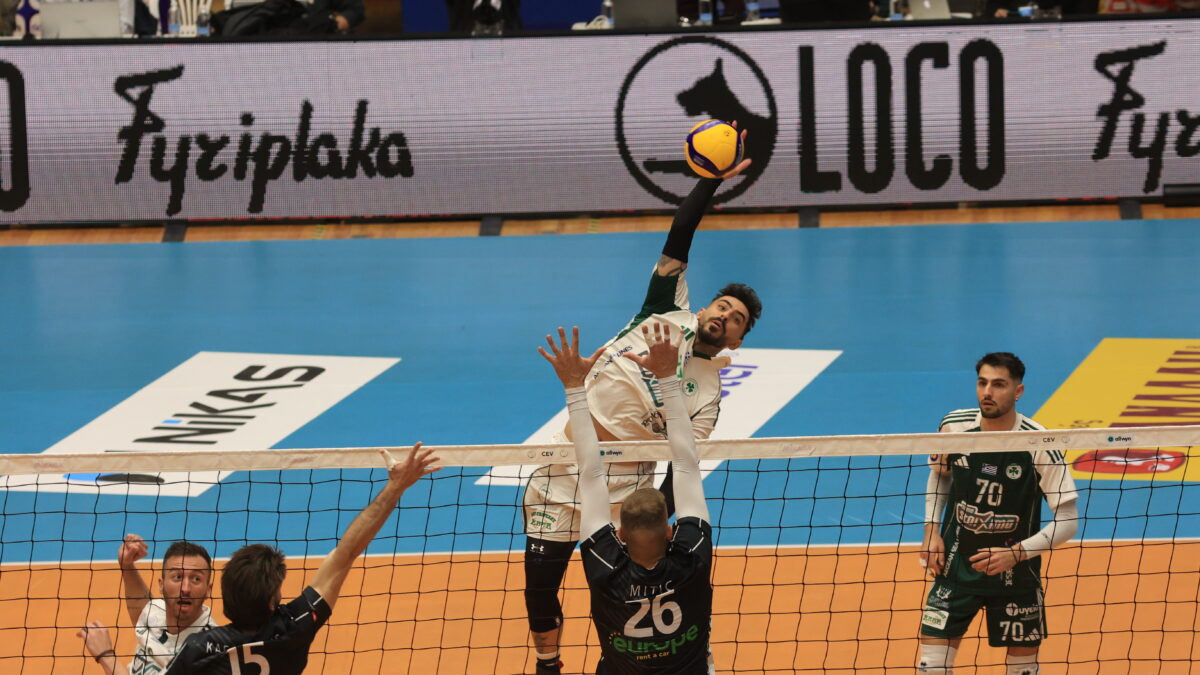 ΛΕΩΝΙΔΑΣ ΤΖΕΚΑΣ