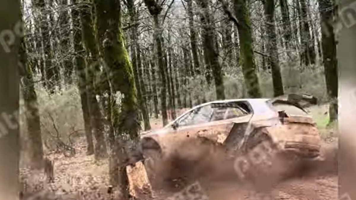 Ολυμπιακό Ράλλυ: Έχασε τον έλεγχο του οχήματος, έσκασε σε δέντρο και ακινητοποιήθηκε στη μέση της πίστας