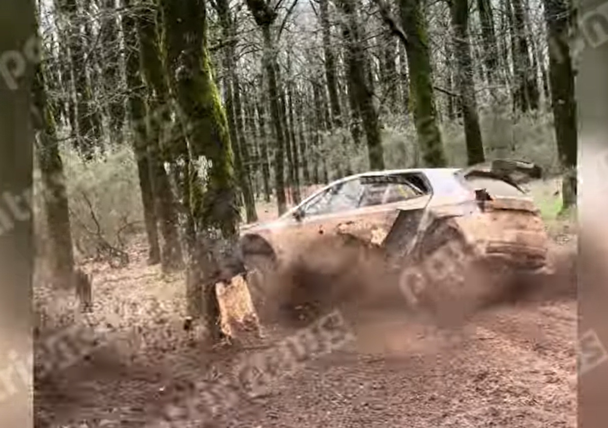 Ολυμπιακό Ράλλυ: Έχασε τον έλεγχο του οχήματος, έσκασε σε δέντρο και ακινητοποιήθηκε στη μέση της πίστας