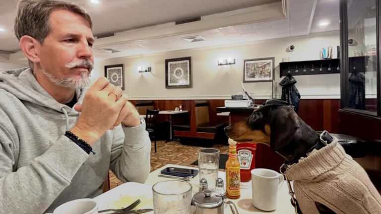 Παύλος Ντε Γκρες