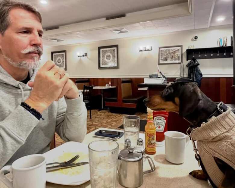 Παύλος Ντε Γκρες