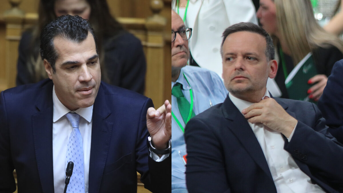 Θάνος Πλεύρης και Χάρης Δούκας