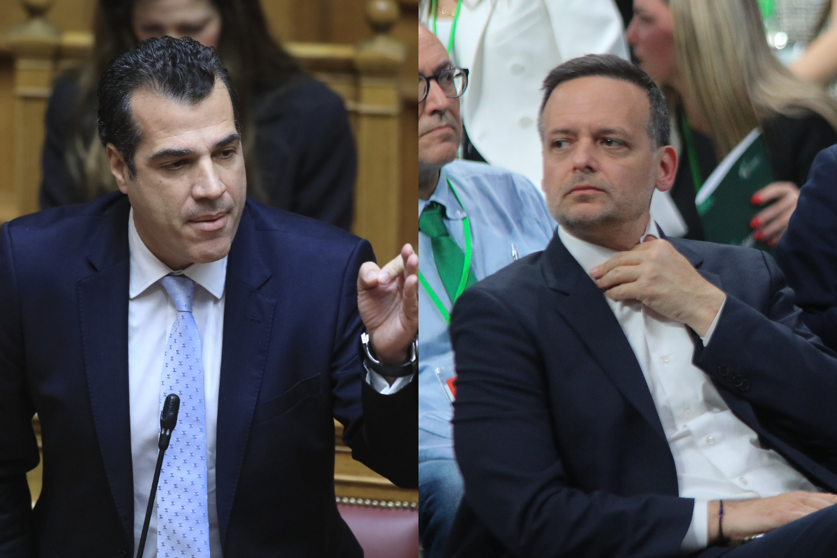 Θάνος Πλεύρης και Χάρης Δούκας