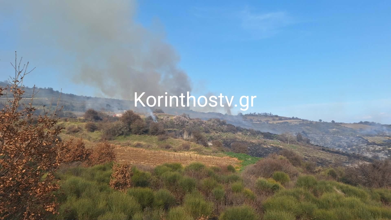 pyrkagia korinthia new