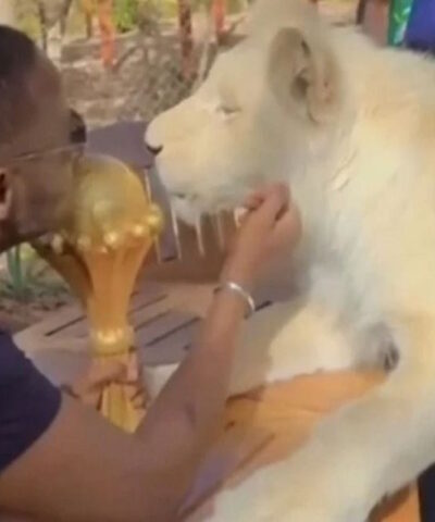 Το τρόπαιο του Copa Africa