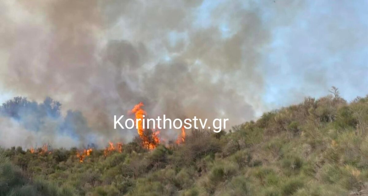 Φωτιά στα Σοφιανά Κορινθίας