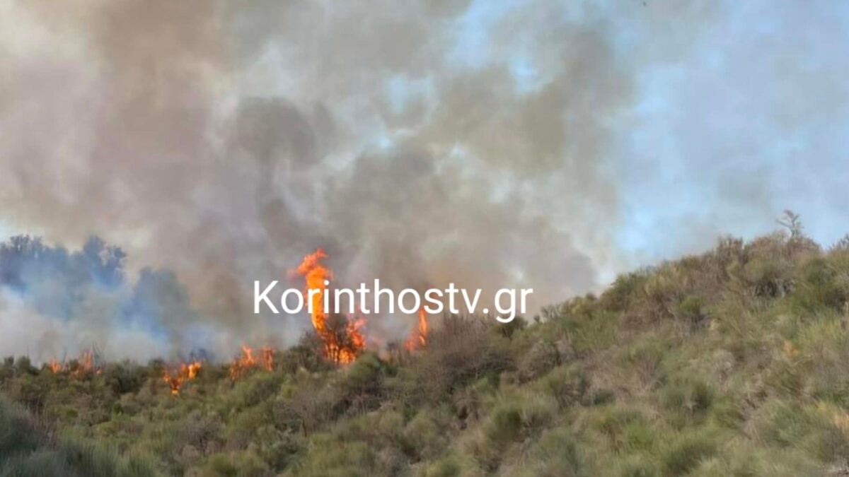 Φωτιά στα Σοφιανά Κορινθίας