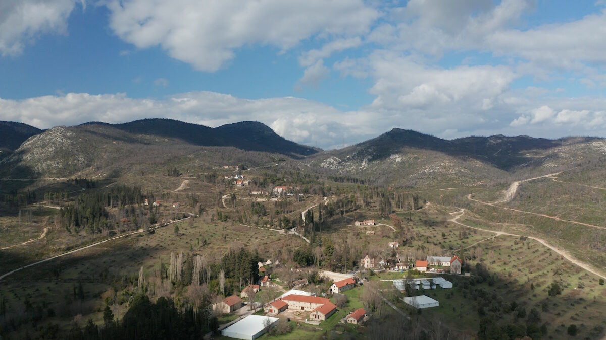Κτήμα Τατοΐου