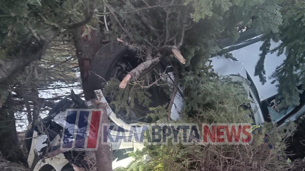 Αυτοκίνητο σε δέντρο