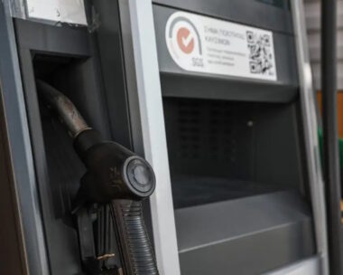 ΔΑΝΑΗ ΔΑΥΛΟΠΟΥΛΟΥ