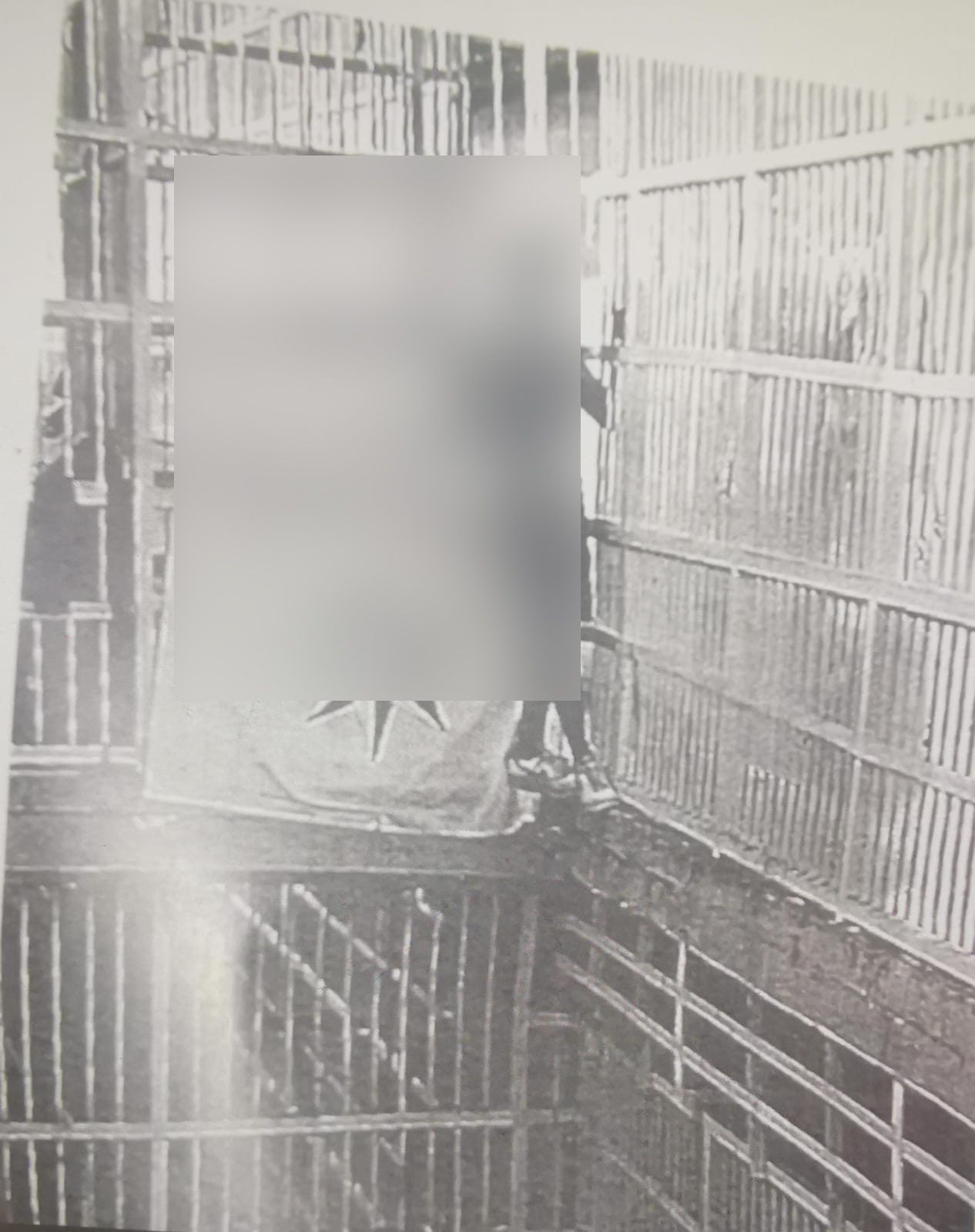 Ο 24χρονος που συνελήφθη στα Χανιά σε ανάρτησή του μέσα από τη φυλακή