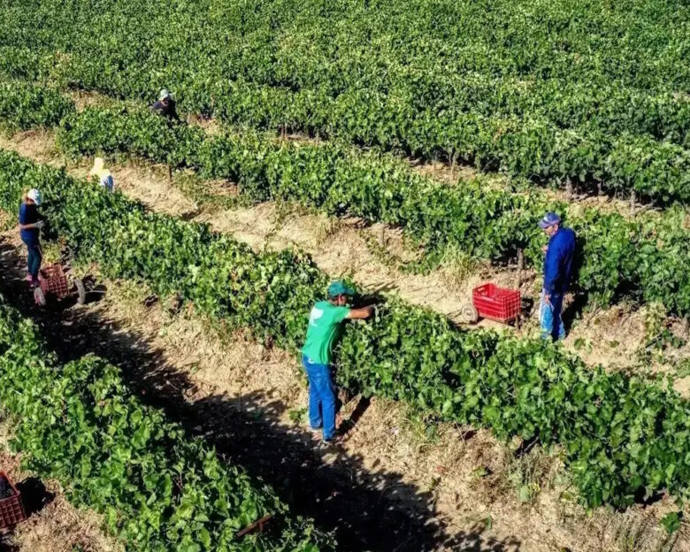 ΑΝΤΩΝΗΣ ΝΙΚΟΛΟΠΟΥΛΟΣ