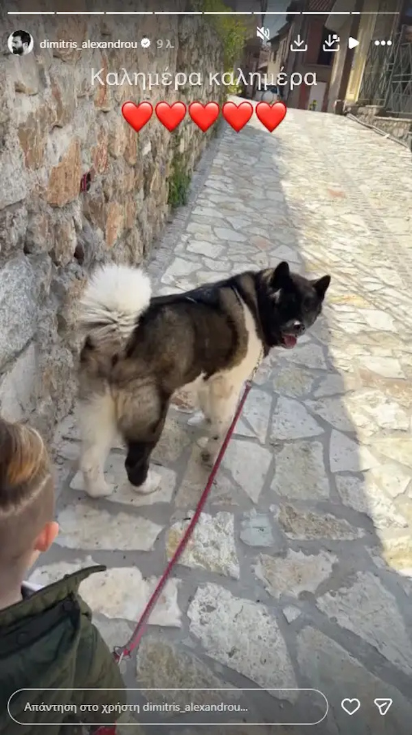 aleksandroy ellinidoy araxoba