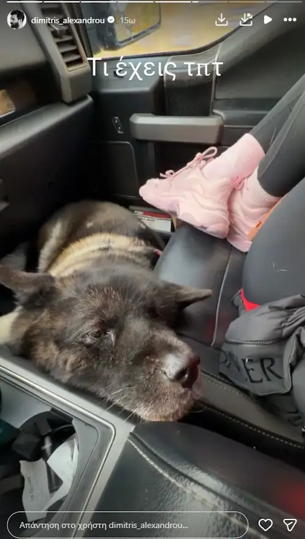 aleksandroy ellinidoy araxoba