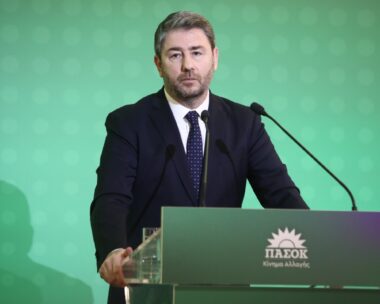 Ο Νίκος Ανδρουλάκης