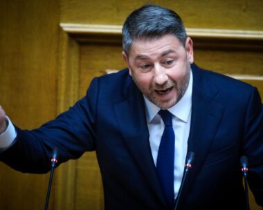 Ο Νίκος Ανδρουλάκης στη Βουλή