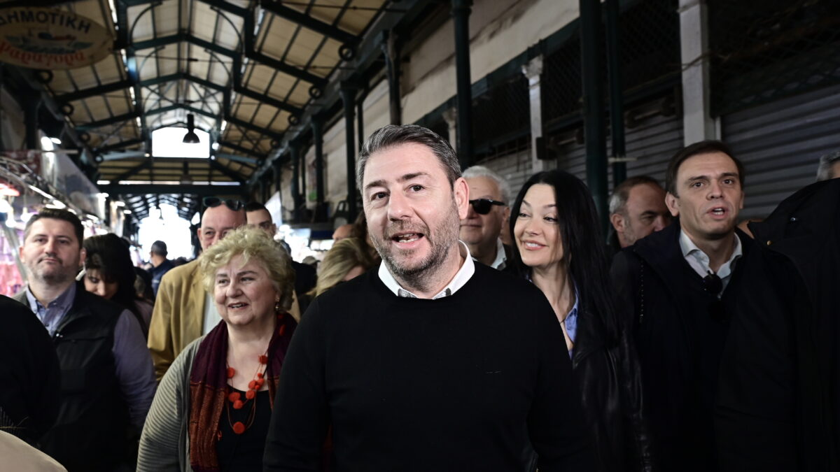 O Νίκος Ανδρουλάκης