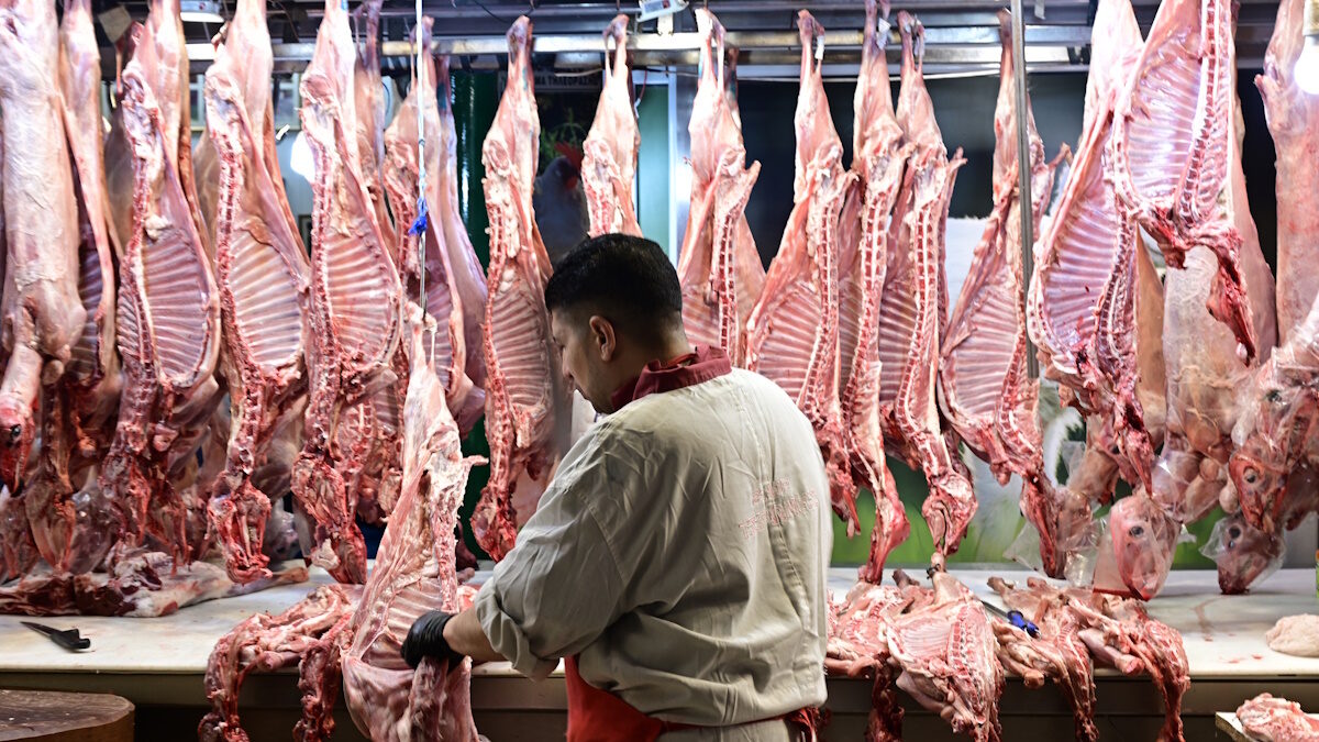 ΜΙΧΑΛΗΣ ΚΑΡΑΓΙΑΝΝΗΣ