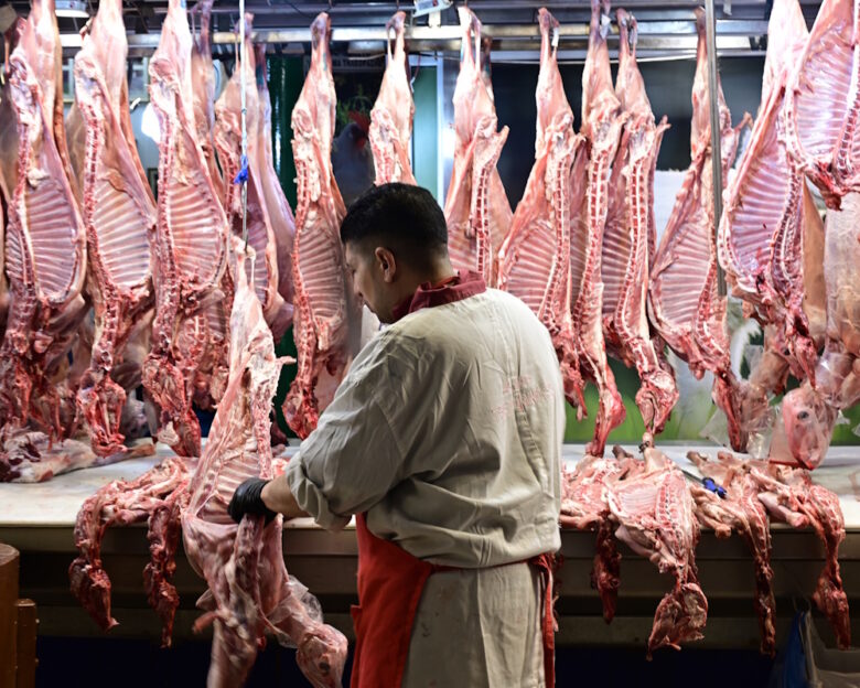 ΜΙΧΑΛΗΣ ΚΑΡΑΓΙΑΝΝΗΣ