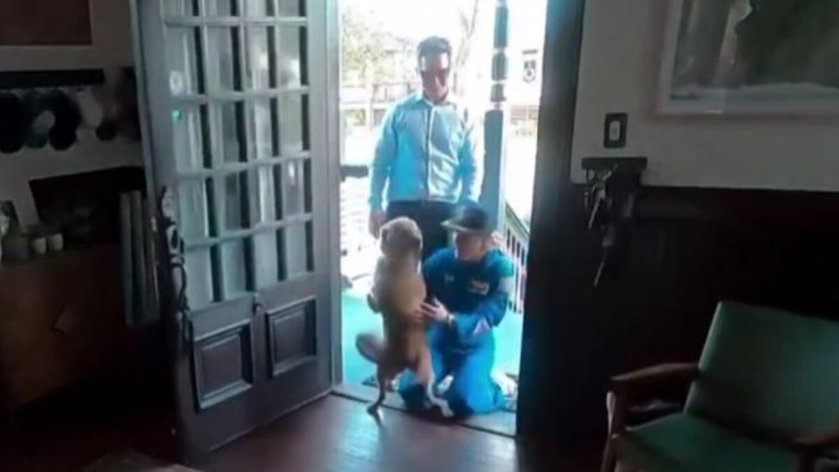 Η στιγμή που ο σκύλος της πέφτει στην αγκαλιά της