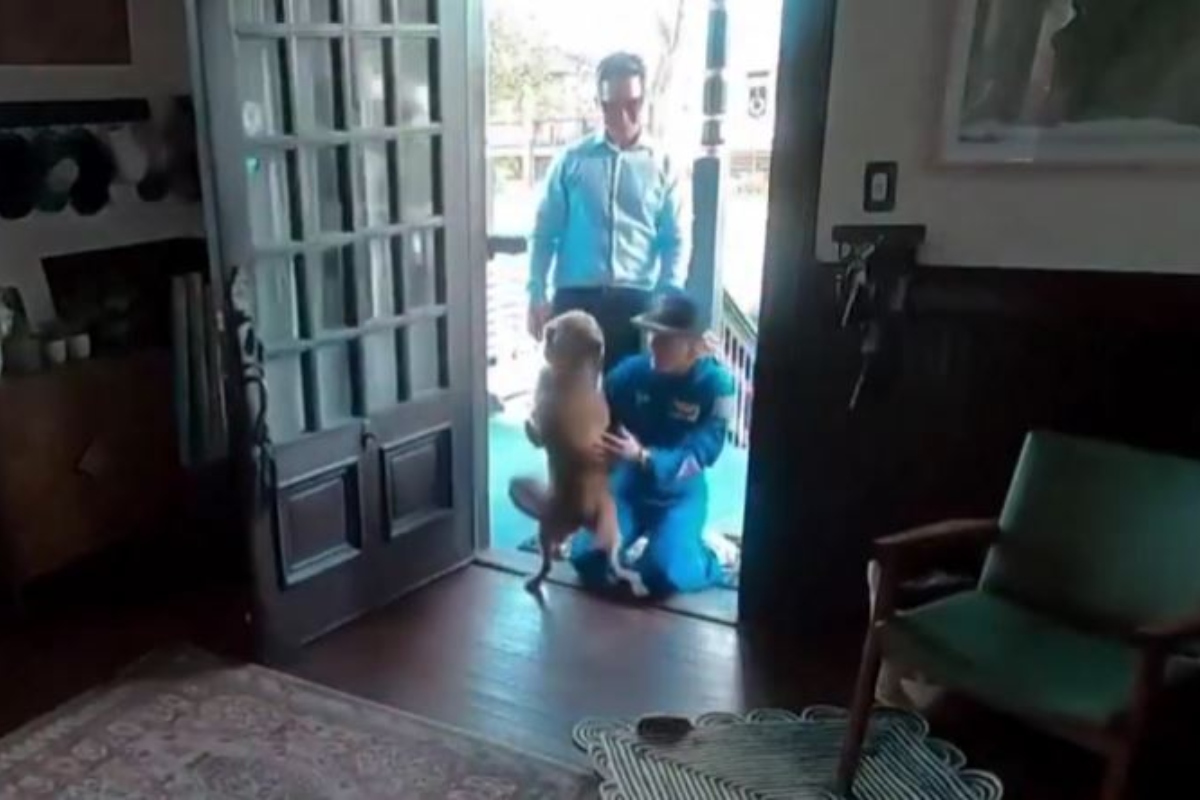 Η στιγμή που ο σκύλος της πέφτει στην αγκαλιά της