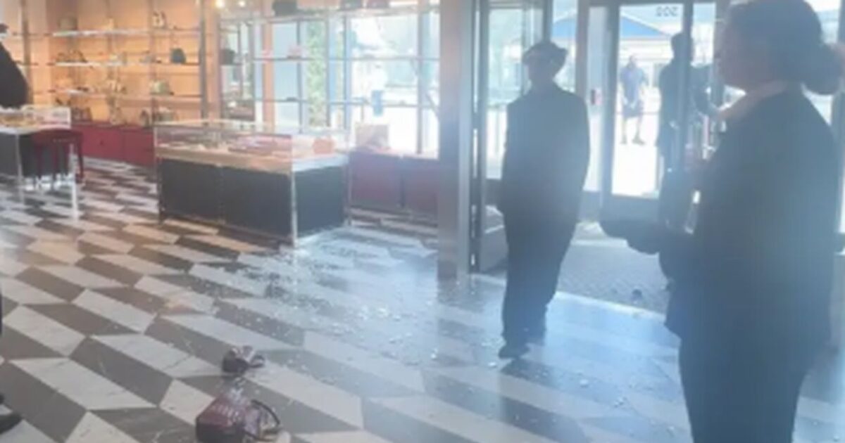 Νέα Υόρκη: Έκλεψαν 12 πολυτελείς τσάντες Gucci αξίας 30.000 δολαρίων κι έγιναν καπνός