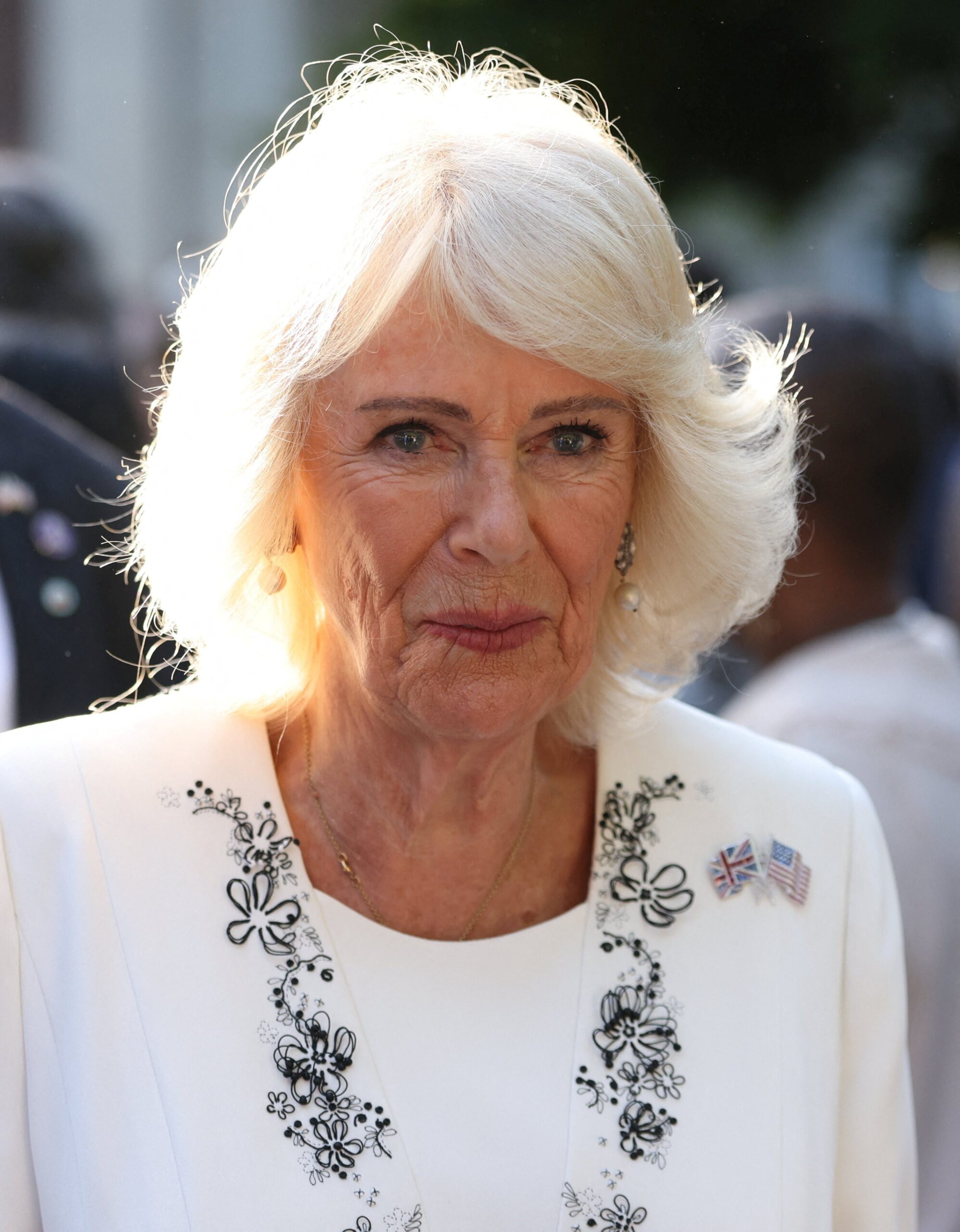 Η καρφίτσα του οίκου Cartier