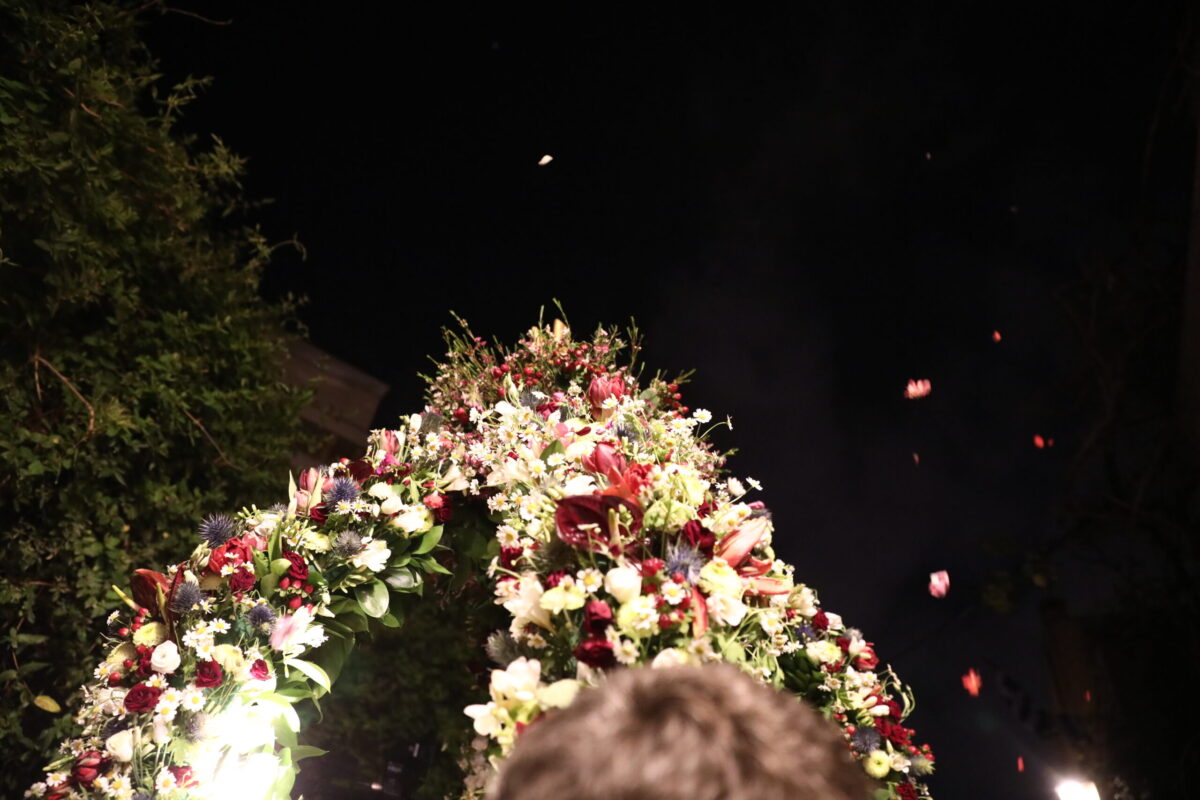 ΔΑΝΑΗ ΔΑΥΛΟΠΟΥΛΟΥ